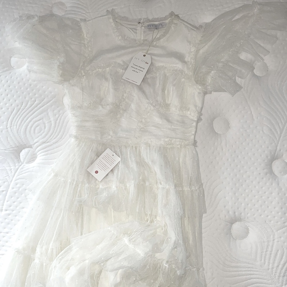 Ivy City Co. Whimsic Dress